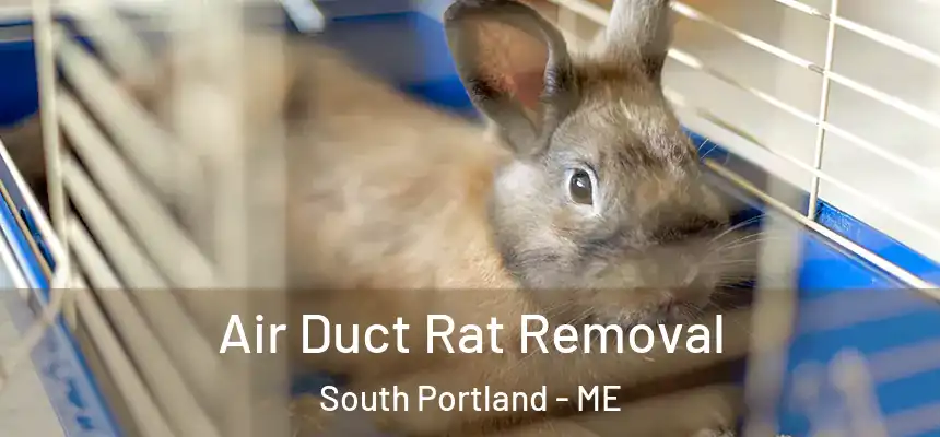 Air Duct Rat Removal South Portland - ME