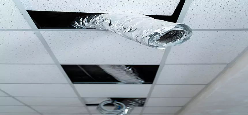 Our Air Duct Pet Hair Removal Services in South Portland, ME