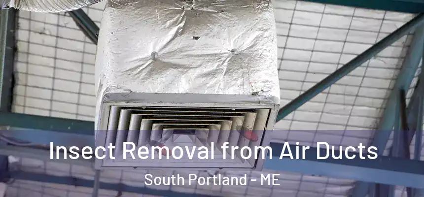  Insect Removal from Air Ducts South Portland - ME