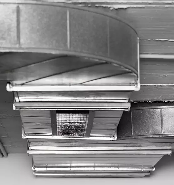 Professional Air Duct Pest Removal in South Portland, ME